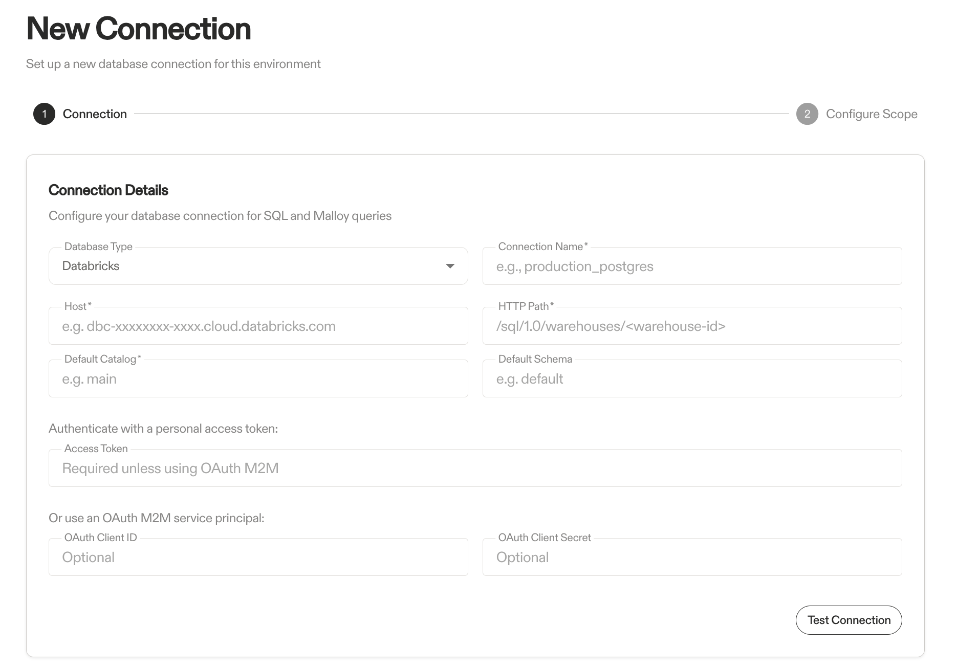 Databricks Connection